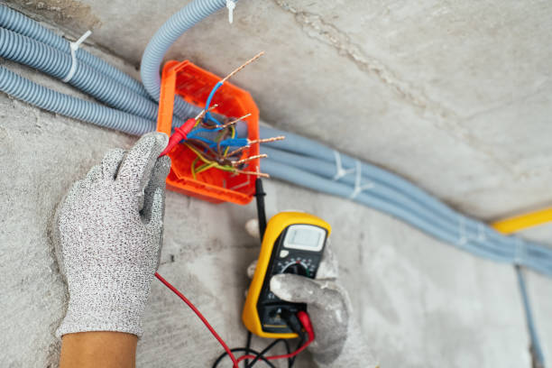 Best Electric Panel Repair  in Broadview, IL